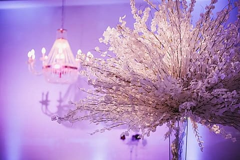 Cícero Eventos 4