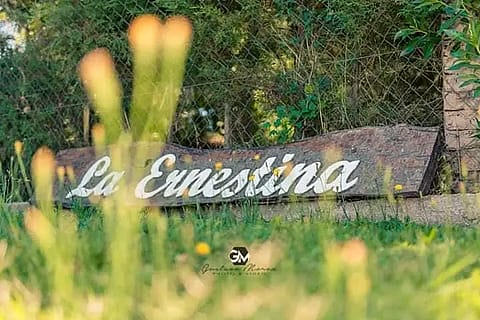 La Ernestina 2