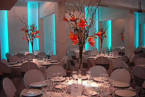 Residencia Deanna 3