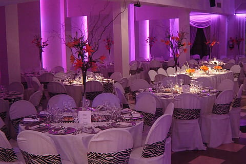 Residencia Deanna 5