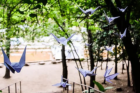 Bosque de Piedras fiestas & eventos 3