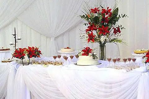 Villa Matilda Fiestas y Eventos 3