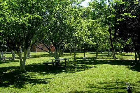 Quinta Los Artistas 2