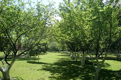 Quinta Los Artistas 4