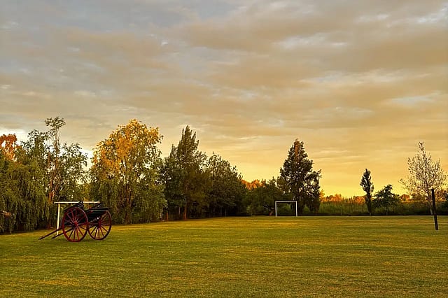 Campo Naranjo