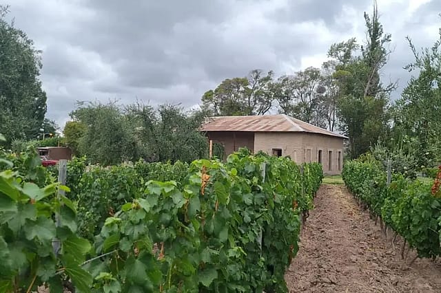 Finca La Toscana
