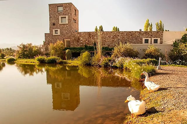 Bodega Renacer