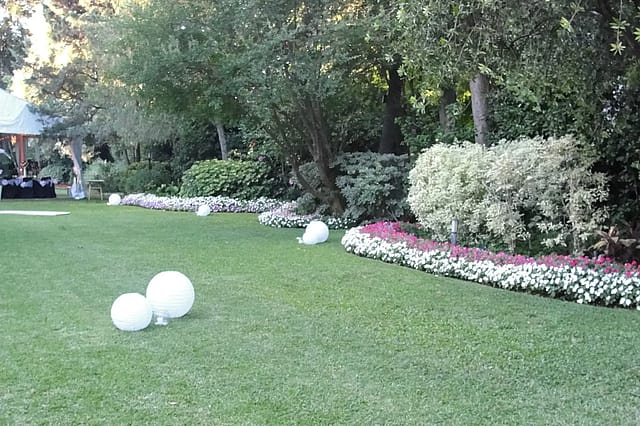Quinta Irigoyen Moreno