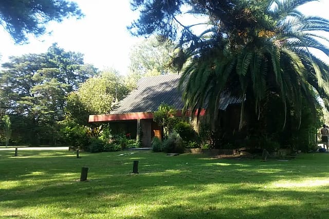 Álamos de Carlos Keen
