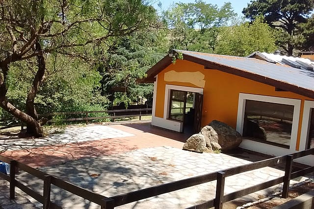 Kalifa
