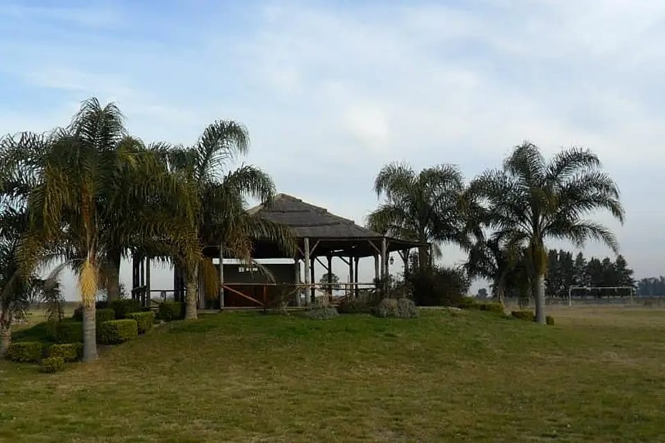 Los Charitos