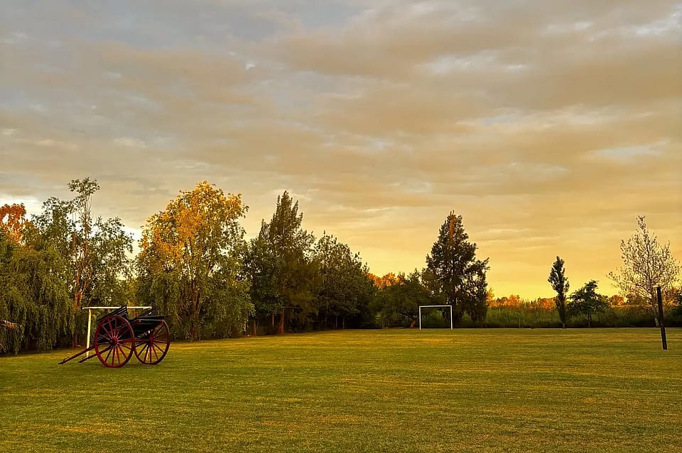 Campo Naranjo
