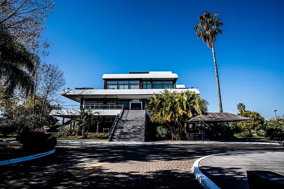 Jano's Olivos