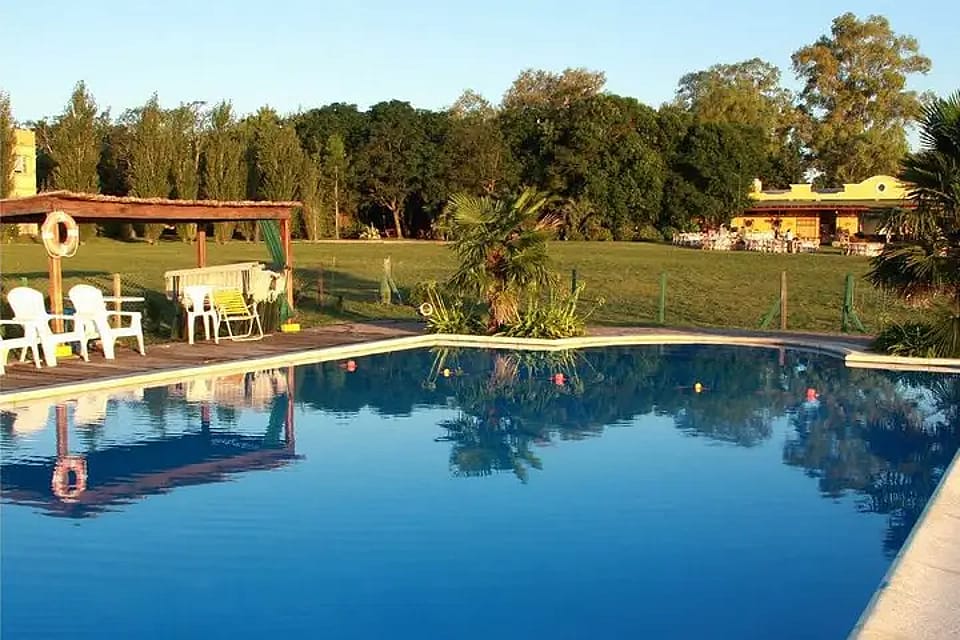 Los Girasoles