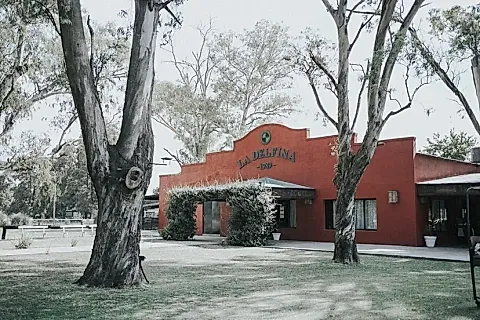 La Delfina 5