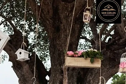 Estancia San Carlos 3