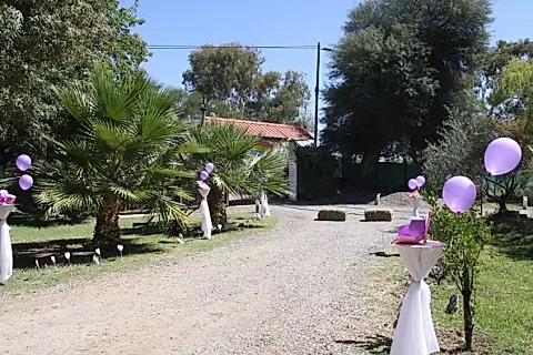 Los Abetos 2