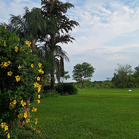Quinta Margarita 4
