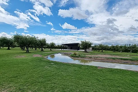 Lauquen 3