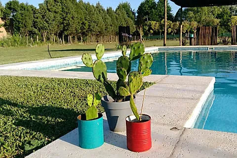 Gaia Casa de Campo 4