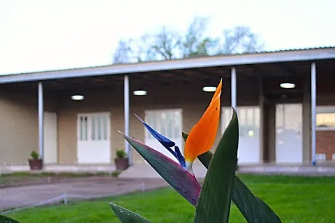 Abelló Multiespacio 5