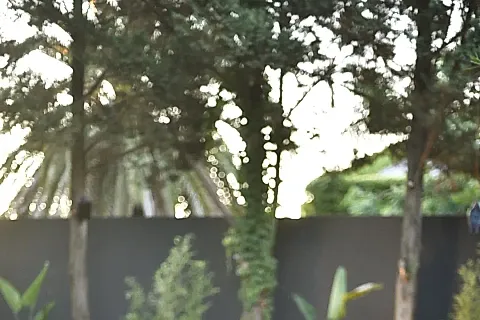 Puerta2 Eventos 4