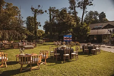 Jano's Hurlingham 5