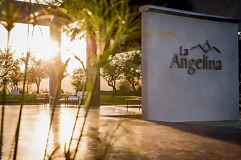 La Angelina 4