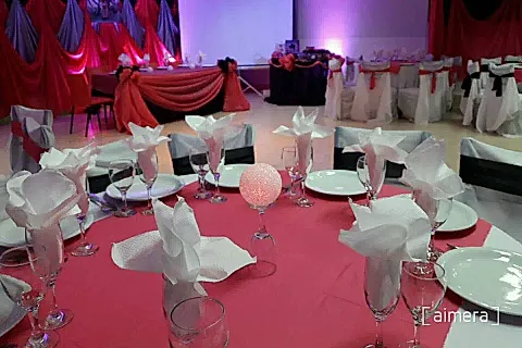 Érica Eventos 2