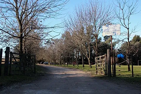 La Carreta del Gato 2