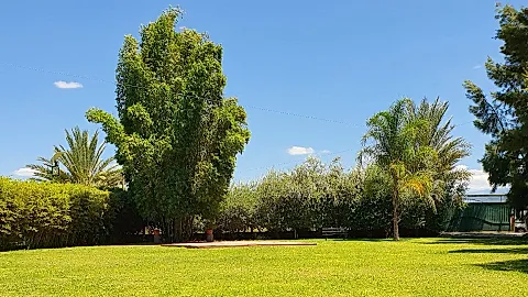 Amazonia Eventos 2