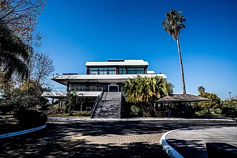 Jano's Olivos