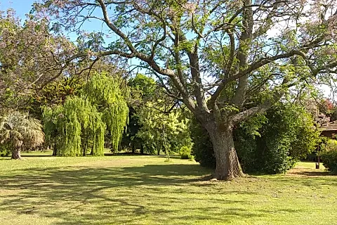 Estancia La Soñada Miramar 4