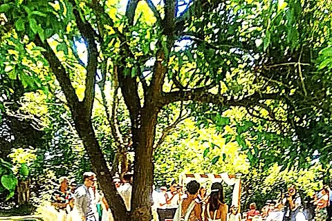 El Portal Salón de Eventos 4