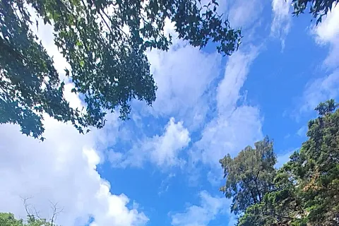 La Renata 2