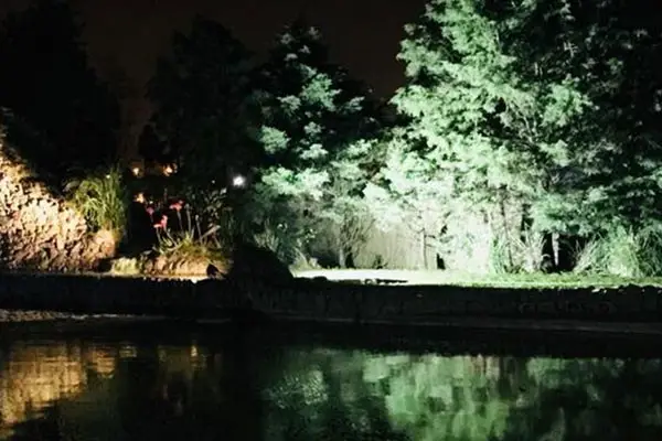 Zebra Lago Eventos 2