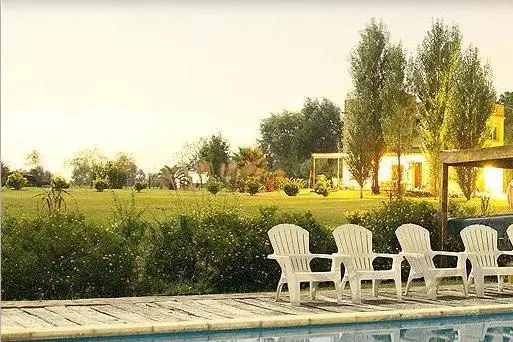 Los Girasoles 5