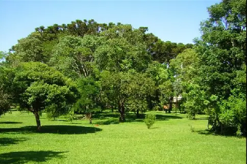 Hotel Cabañas del Parque 2