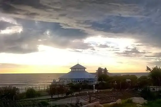 Mirador Walkiki-Ala Wai 4
