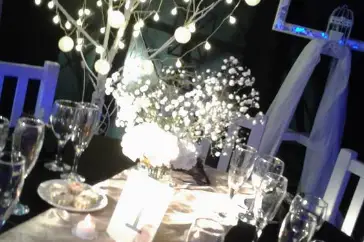 Magnolia Eventos 4