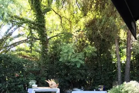 Los Fuegos 5