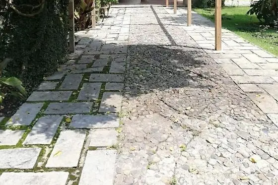 Finca Lujan 3