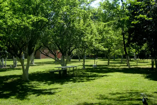 Quinta Los Artistas 2